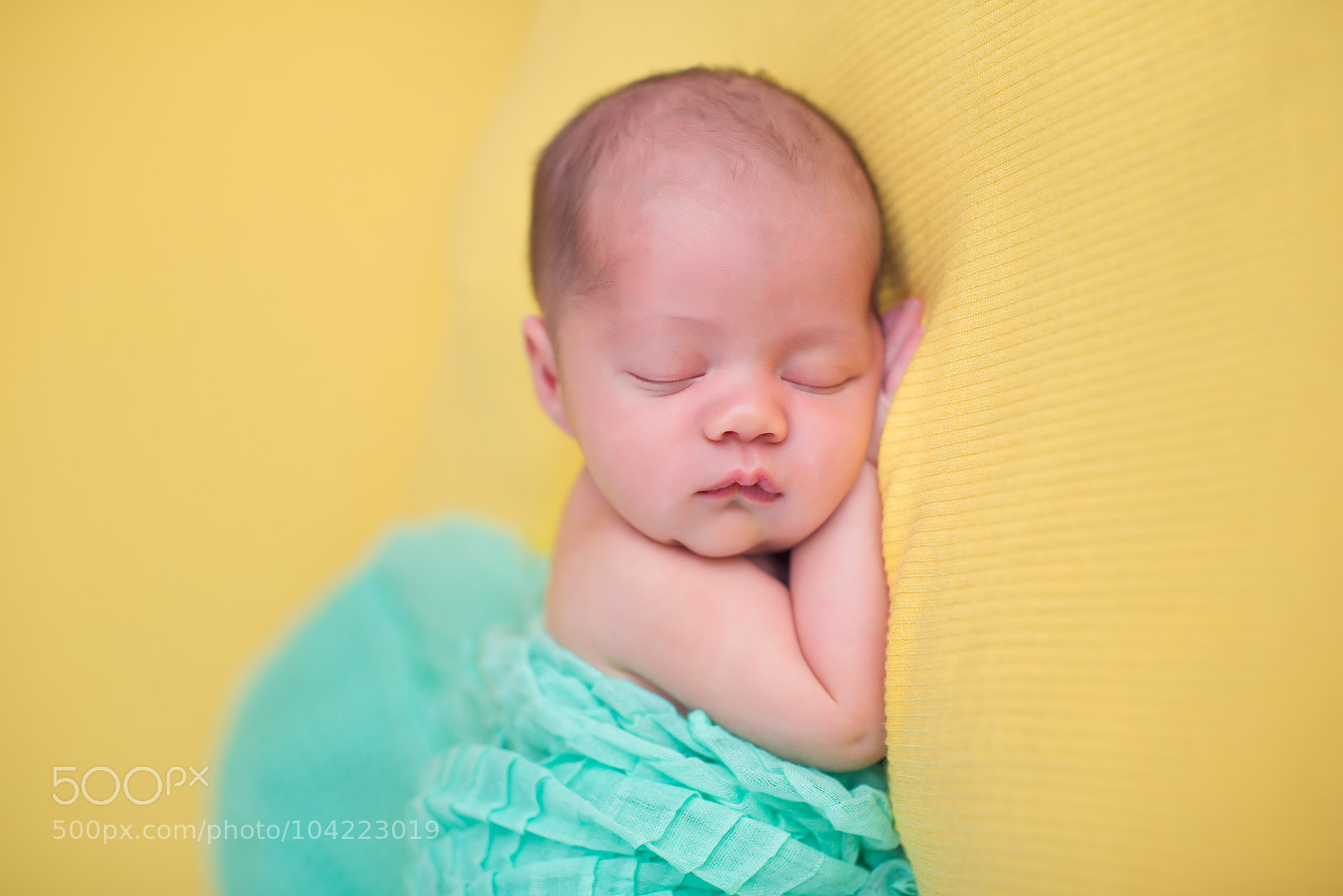 Nikon D800 sample photo. 11 photography