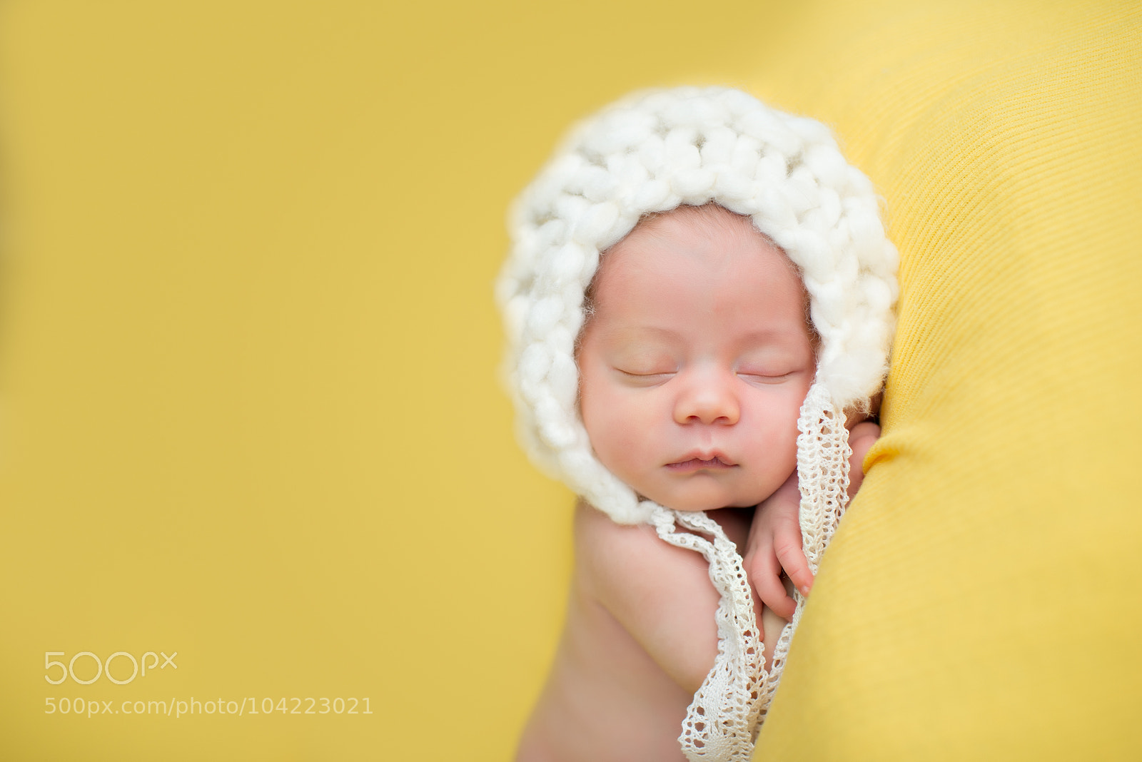 Nikon D800 sample photo. 12 photography