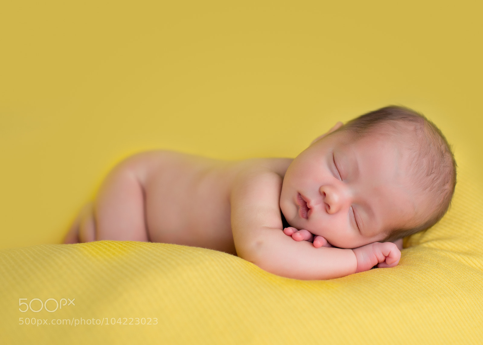 Nikon D800 sample photo. 13 photography