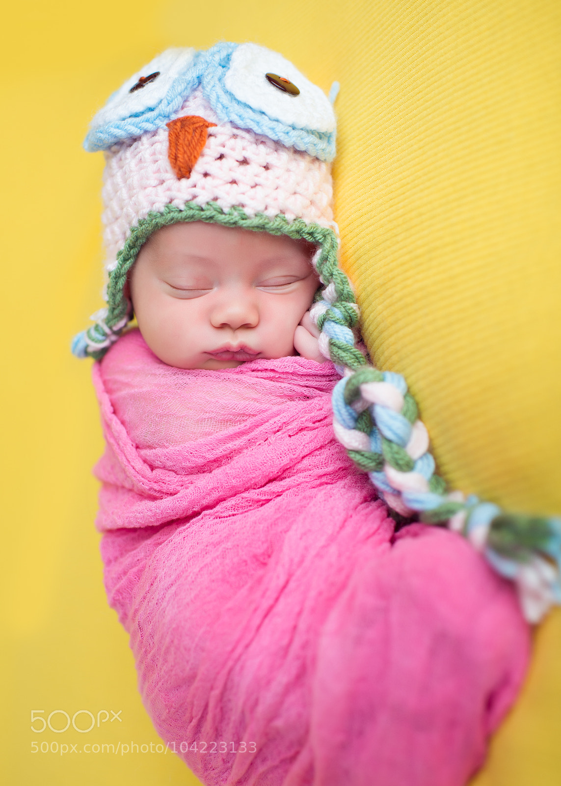 Nikon D800 sample photo. 15 photography