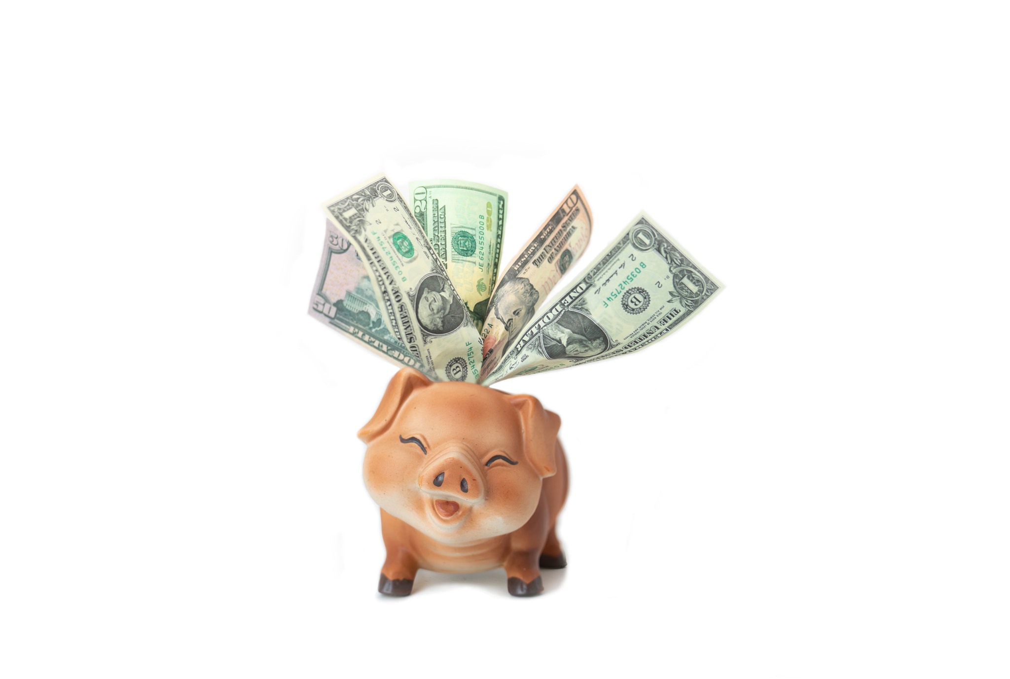 Dollar bills in piggy bank saving and investment concept.