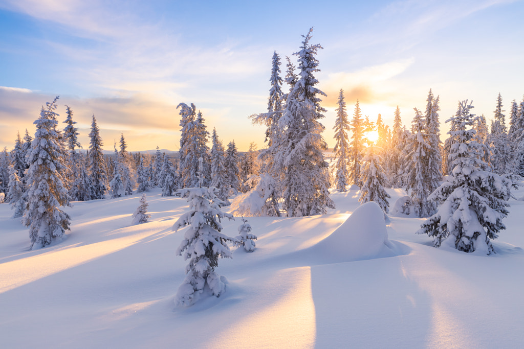 Cold and calm winter morning by Jørn Allan Pedersen / 500px