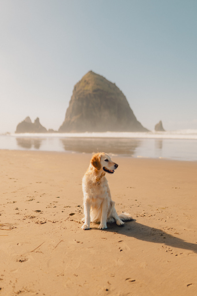 cannon beach by Sam Brockway on 500px.com