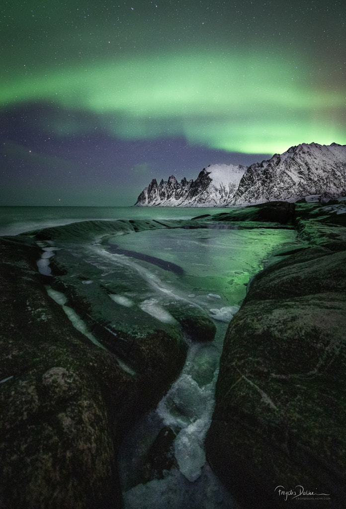 Green Heart by Frøydis Dalheim on 500px.com