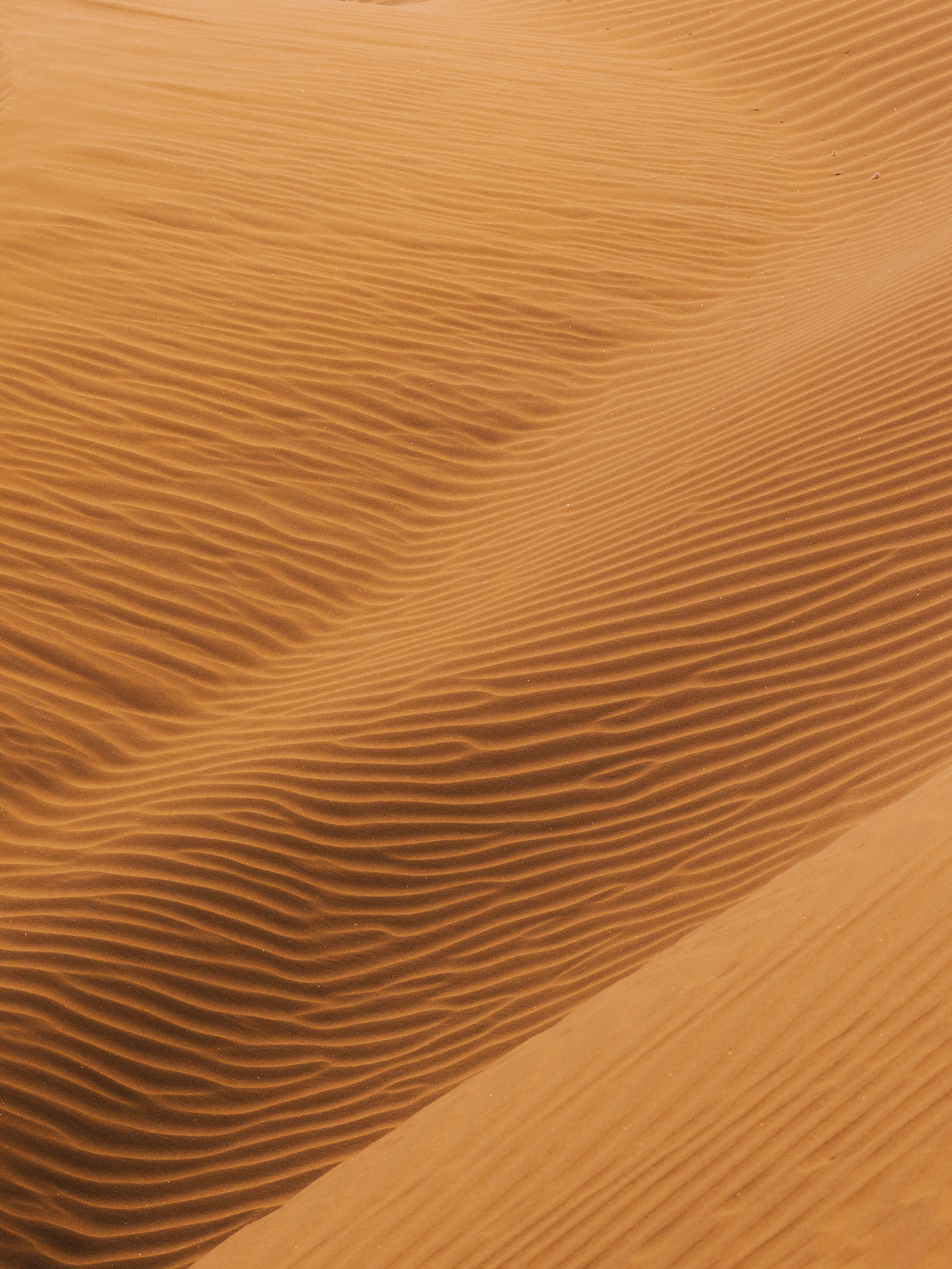 Texture of Sand Dunes