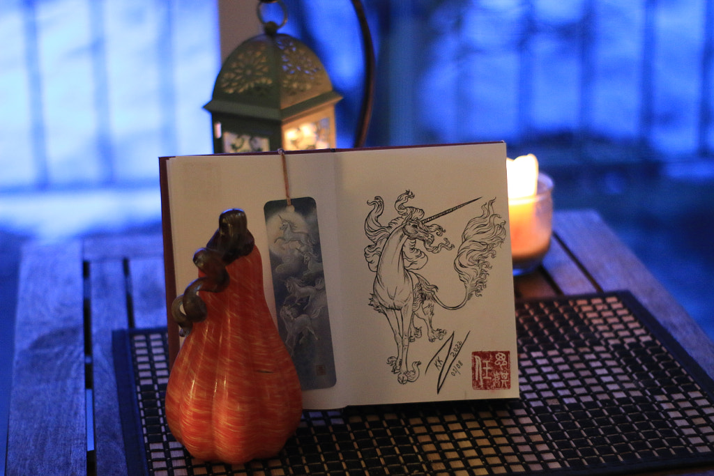 Books of Magic Unicorn Drawings Terry Brooks Fan Art by 任思麒 Kandice Zimbleman on 500px.com