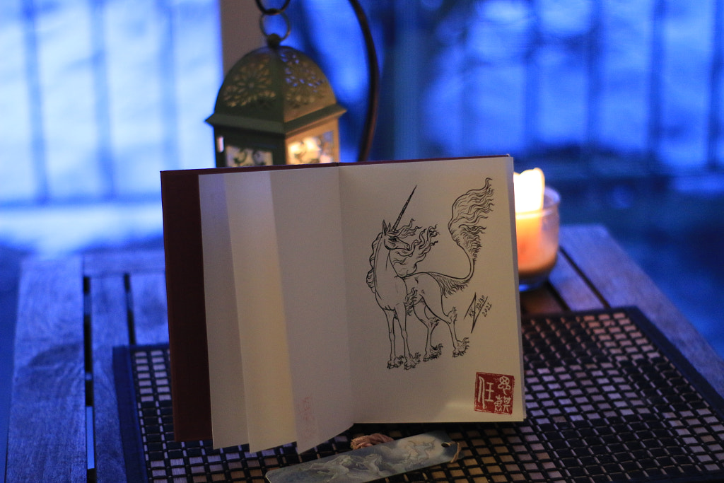 Books of Magic Unicorn Drawings Terry Brooks Fan Art by 任思麒 Kandice Zimbleman on 500px.com