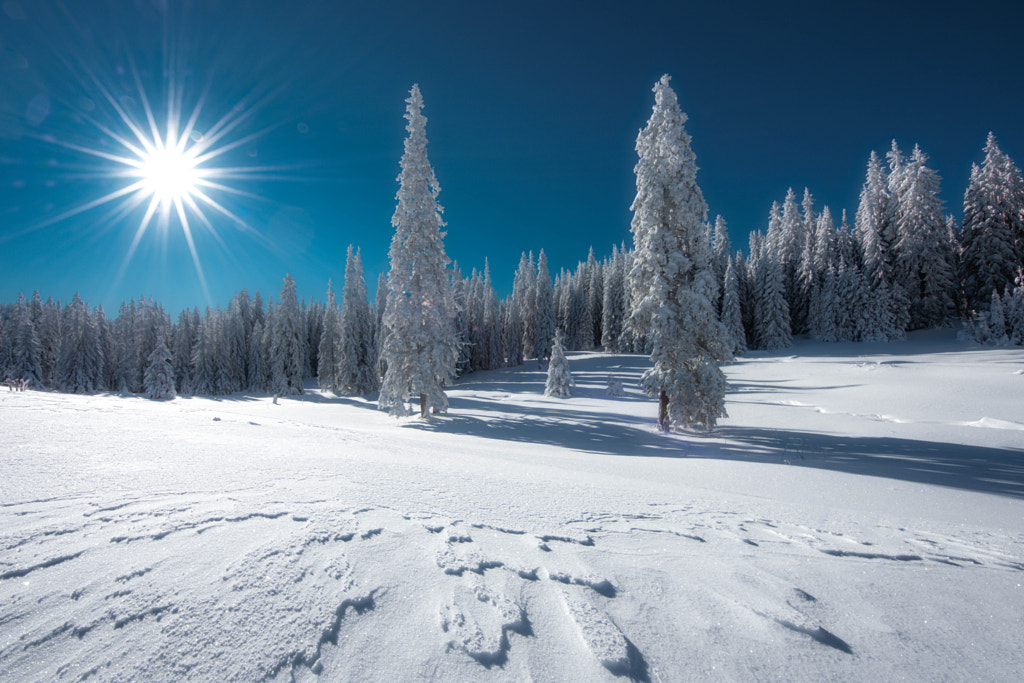 My place to be  by Dimo Hristev on 500px.com