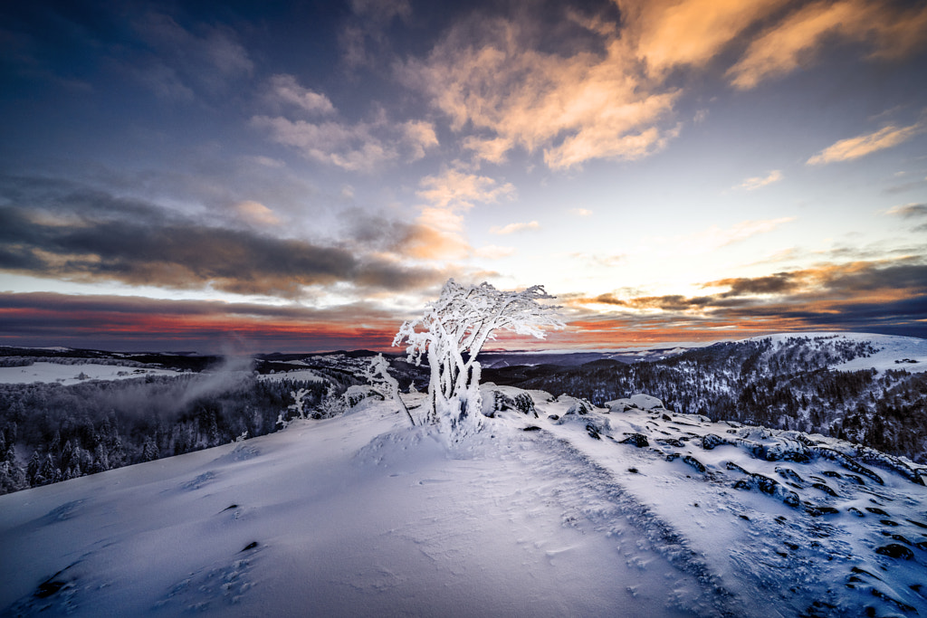 Frozen morning by Robert Didierjean on 500px.com