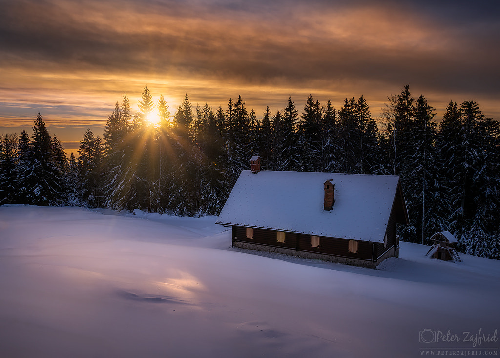 Morning light  by Peter Zajfrid on 500px.com