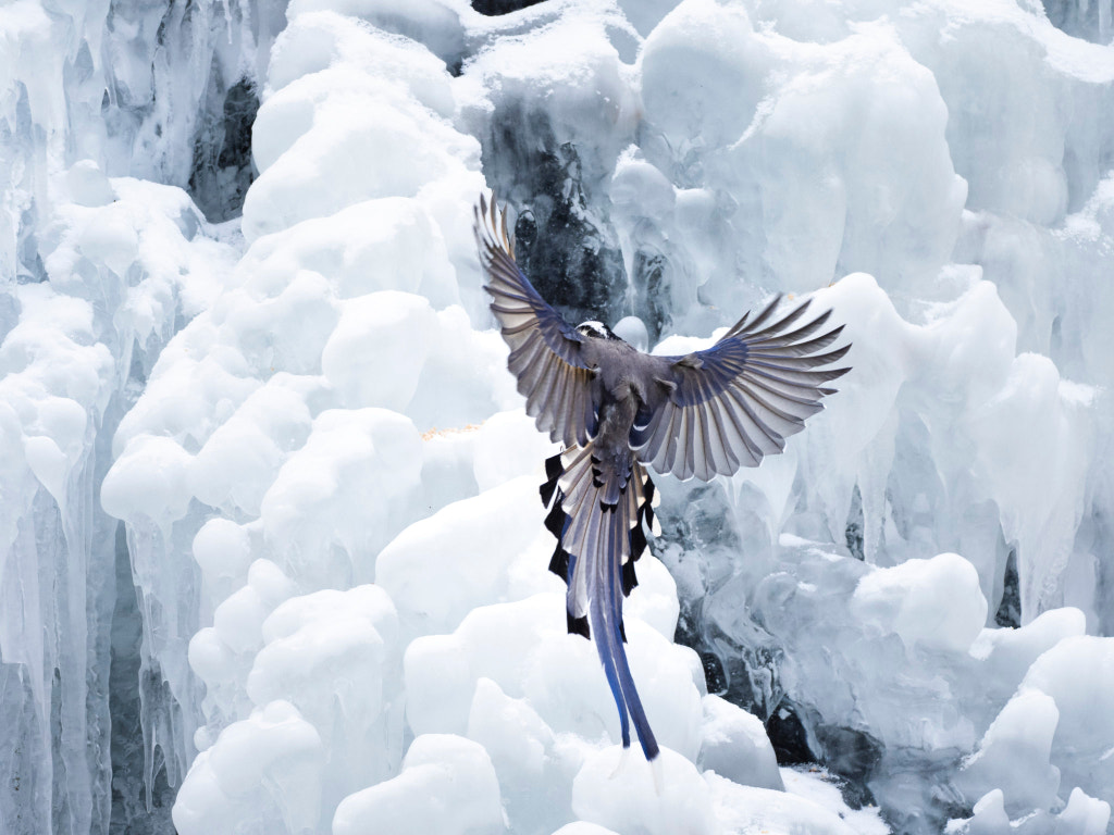 背影 by 我和我的祖国 on 500px.com