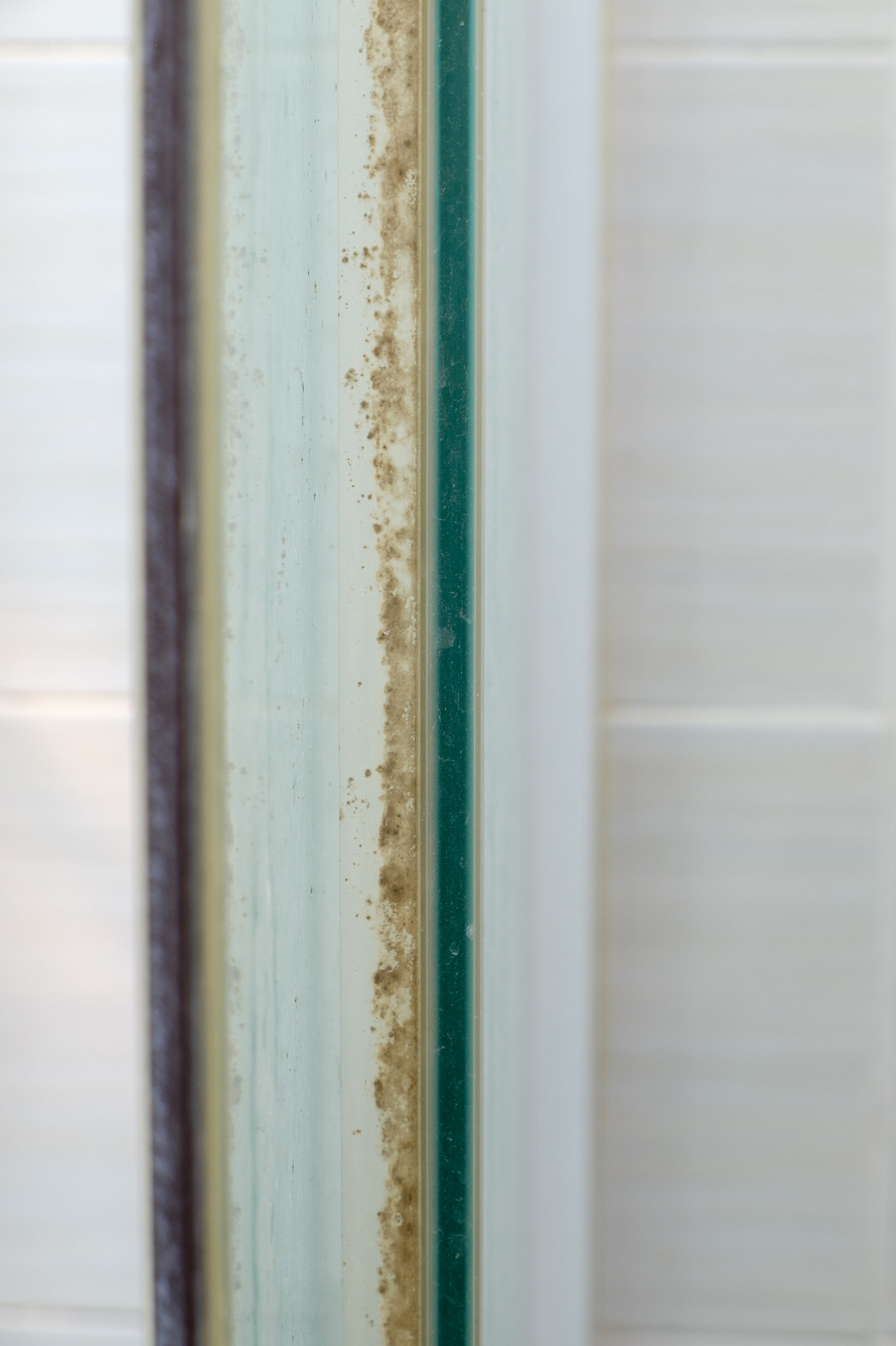 Closeup of the moss stains on the rubber seal.