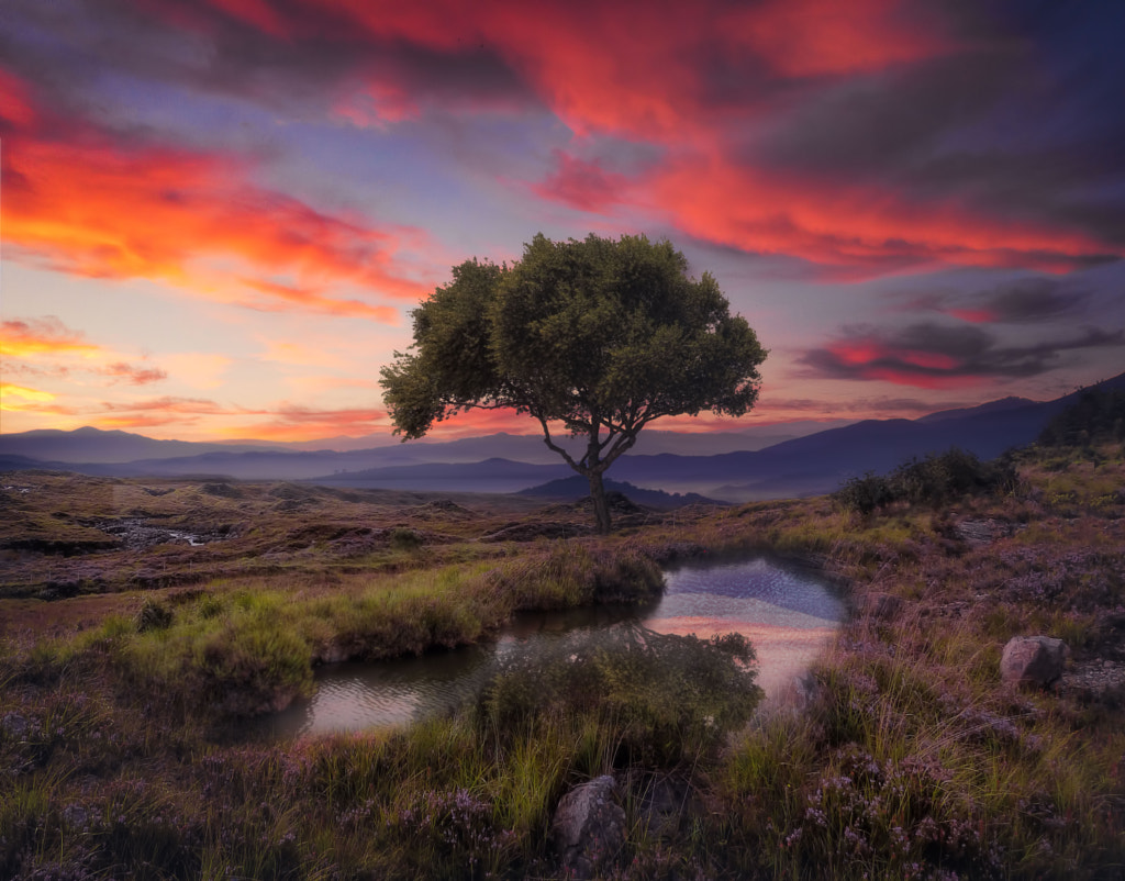 Where I Belong by Pedro Quintela on 500px.com