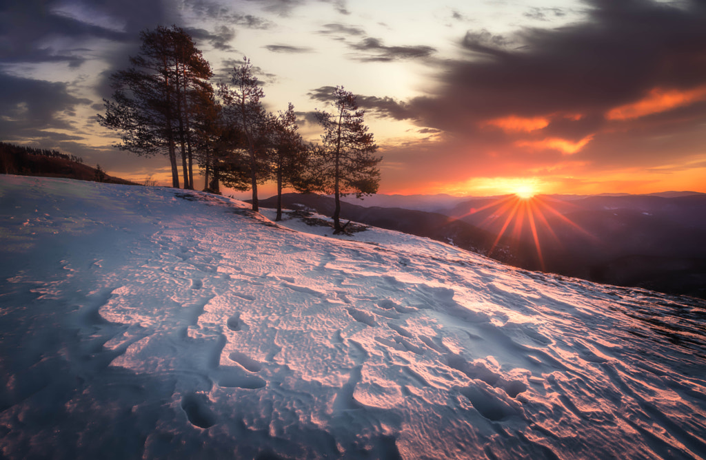 Warm snow by Dimo Hristev on 500px.com