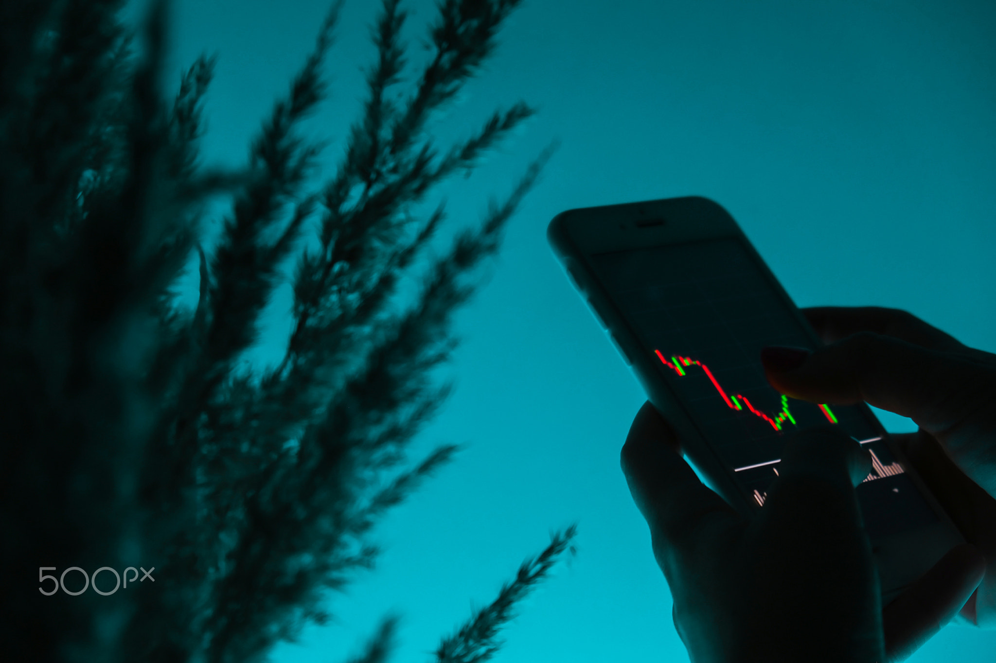 "crypto trading company"