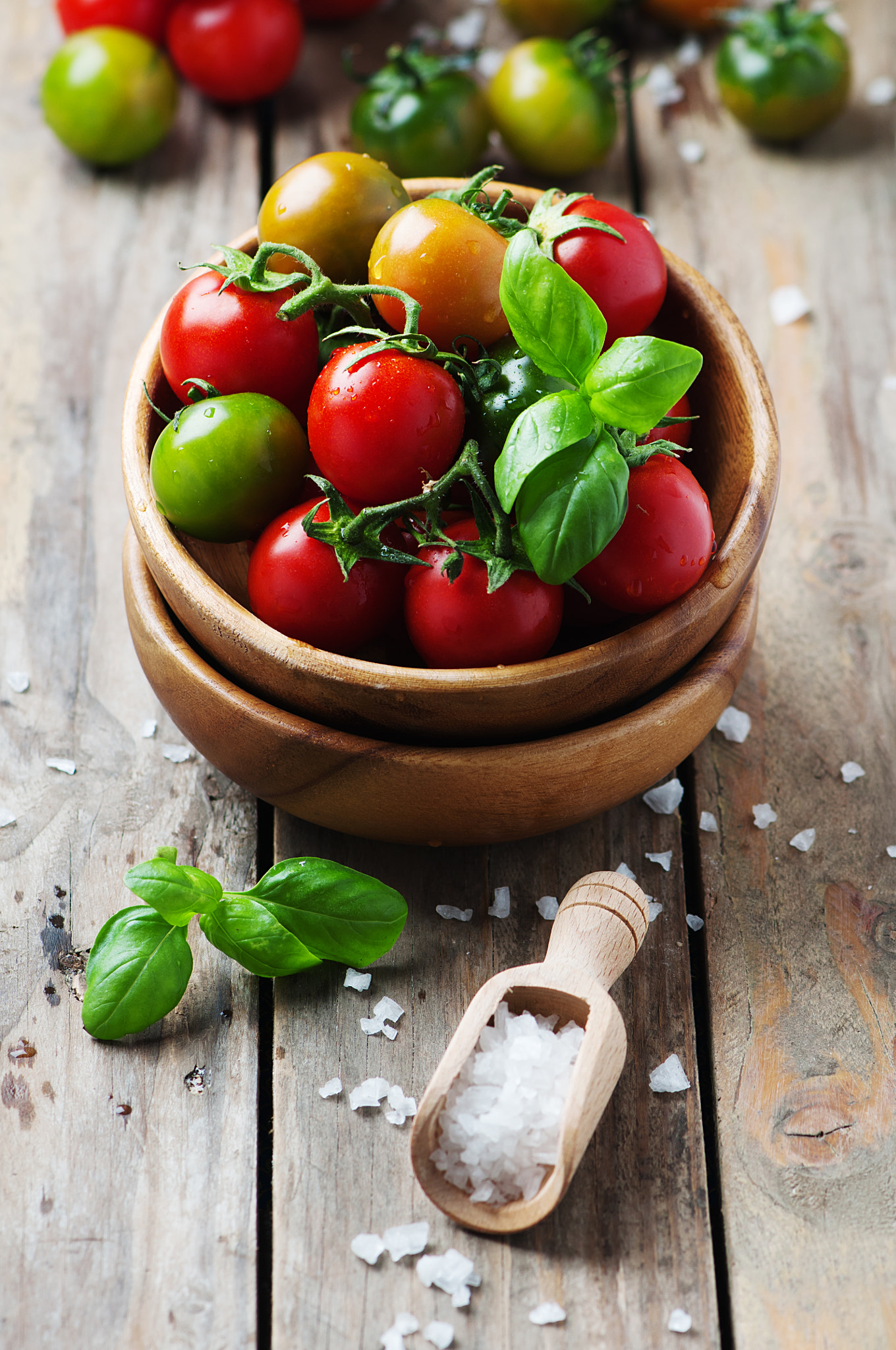 Concept of vegan food