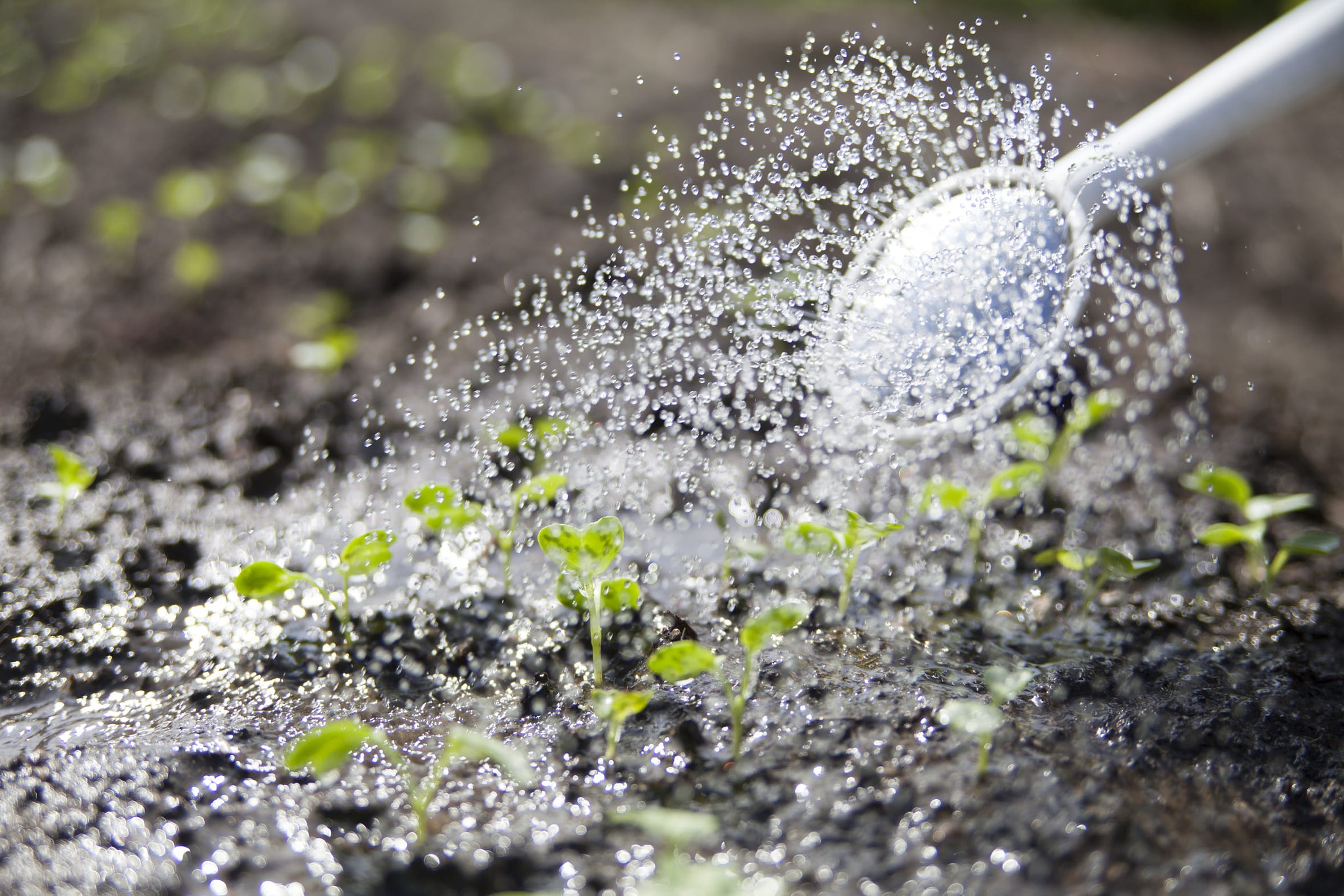 Benötigen Sie eine Zisterne? | Wasserzisterne.de