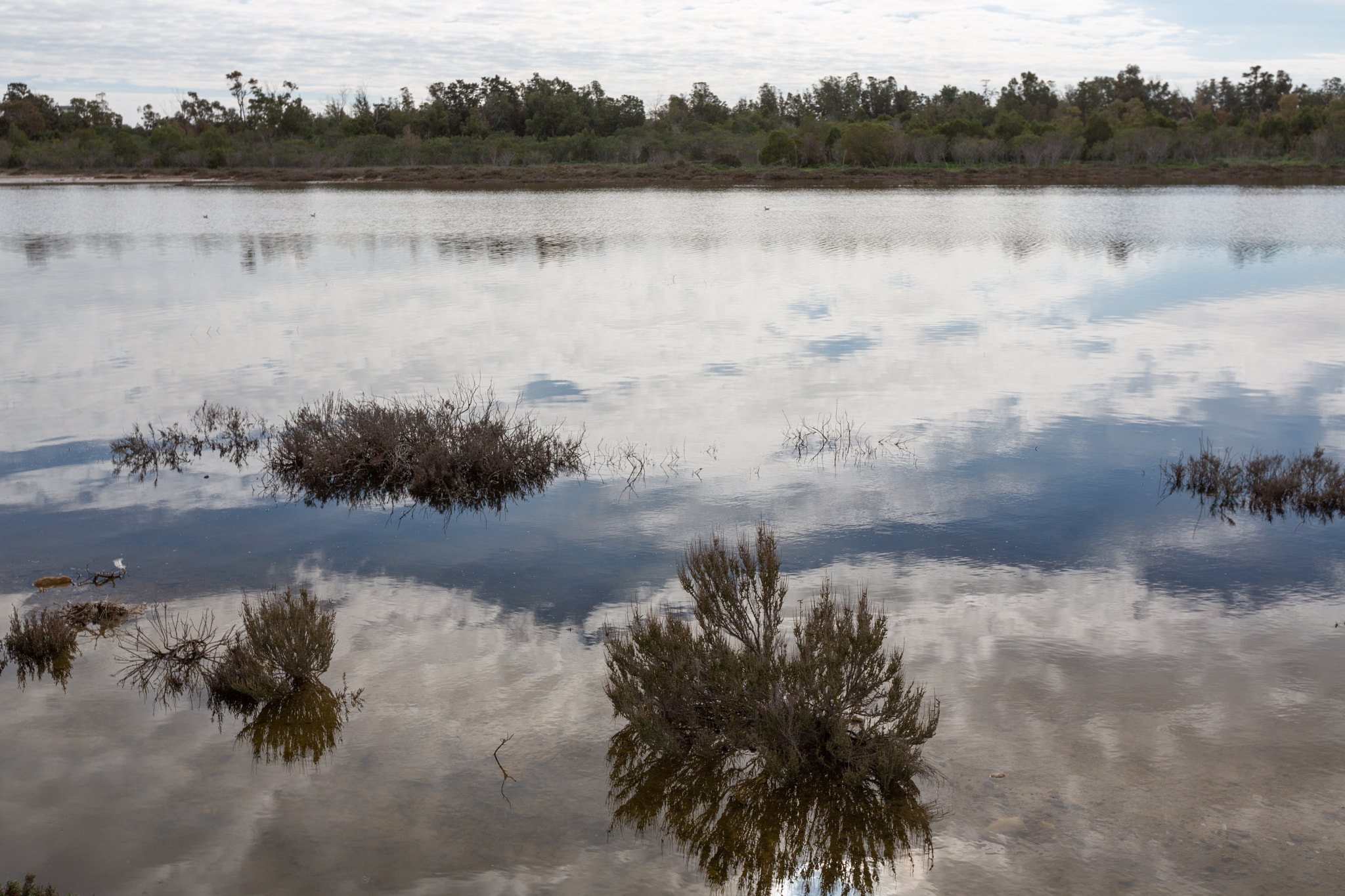 Reflections