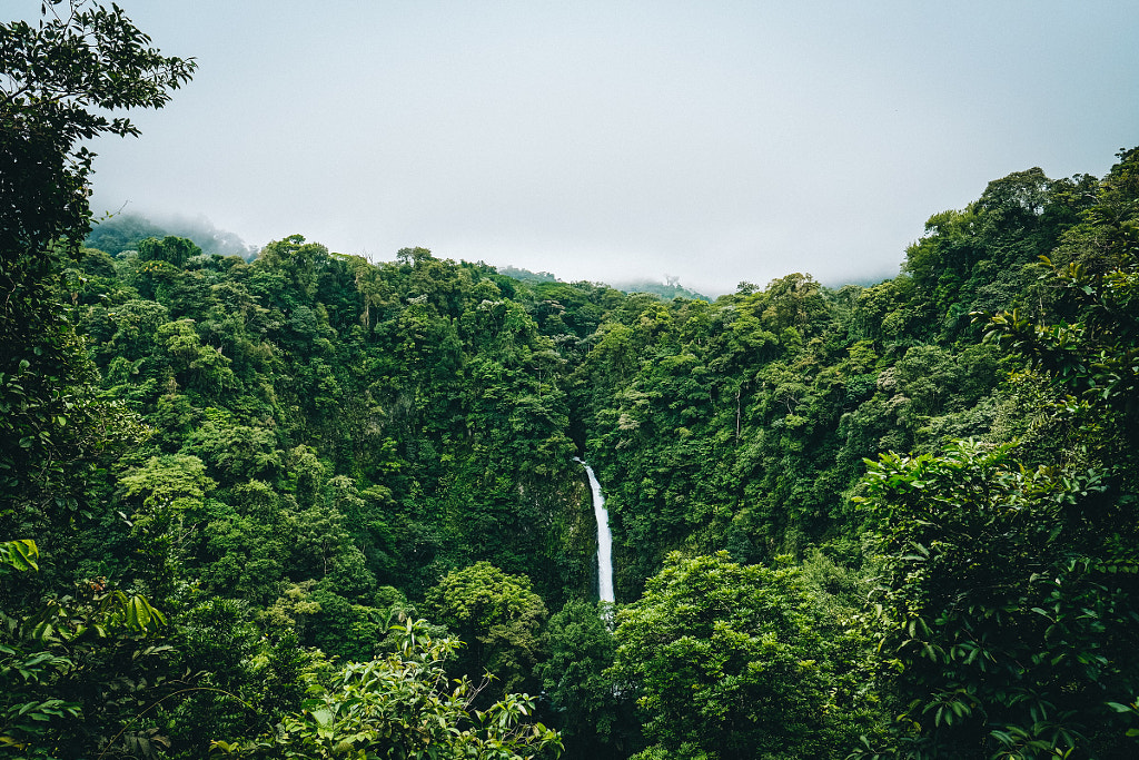 cacao-farm by Jimmy Byrne on 500px.com