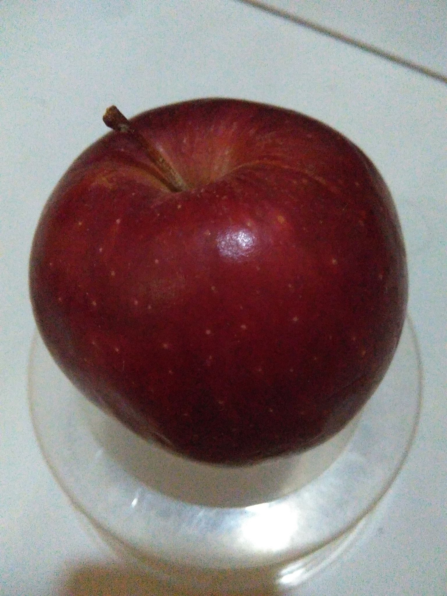Kesehatan