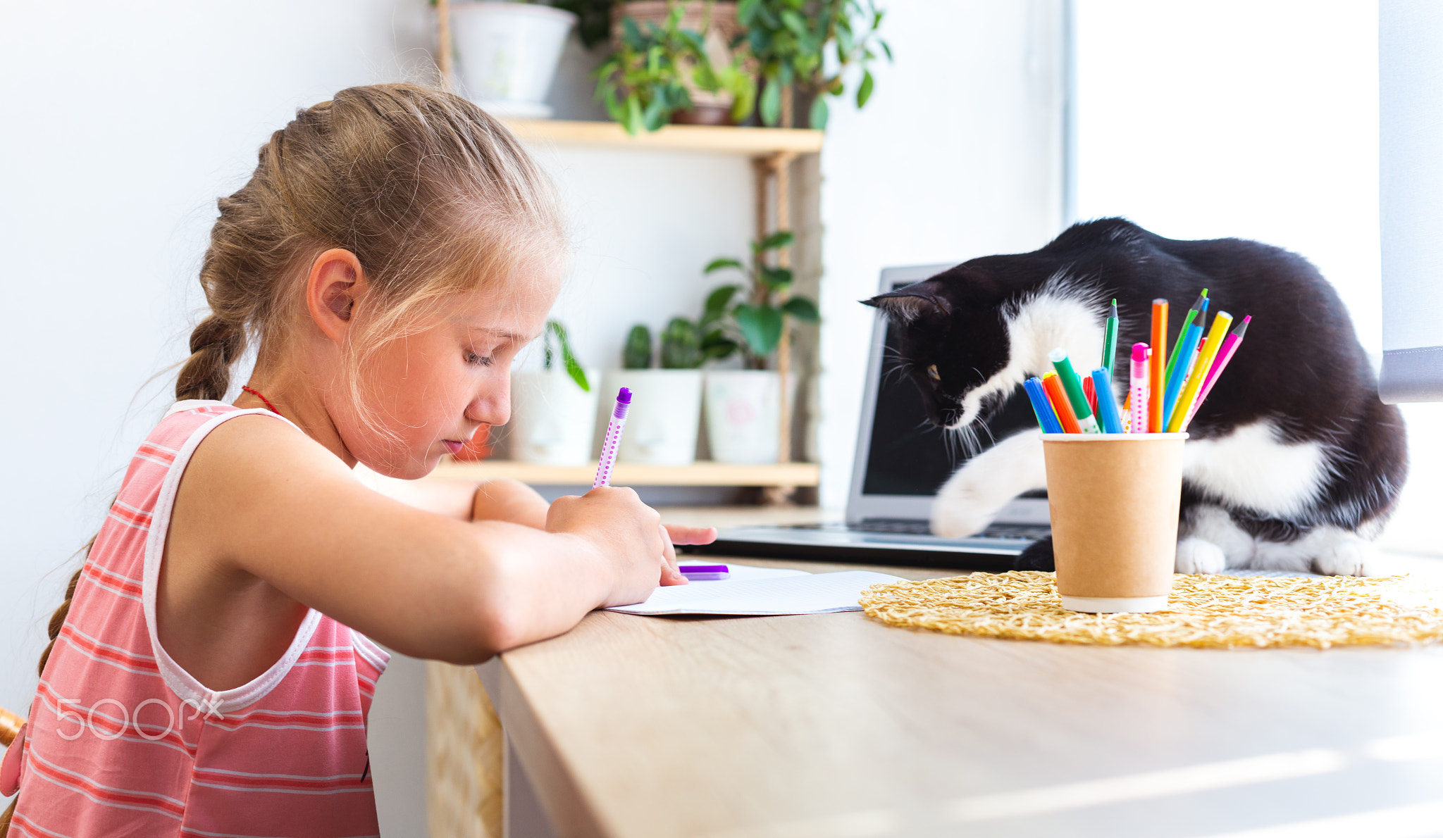 Child writing or drawing. A black cat disturb girl from doing her