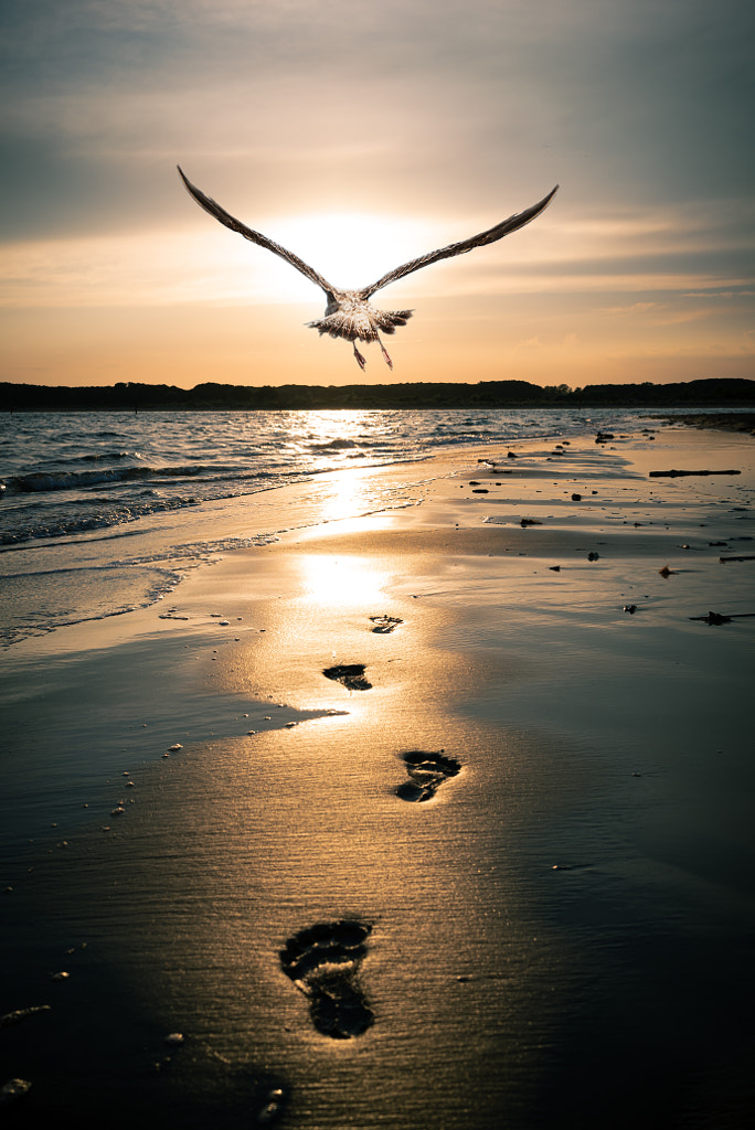 Into freedom by Lukas Klima on 500px.com