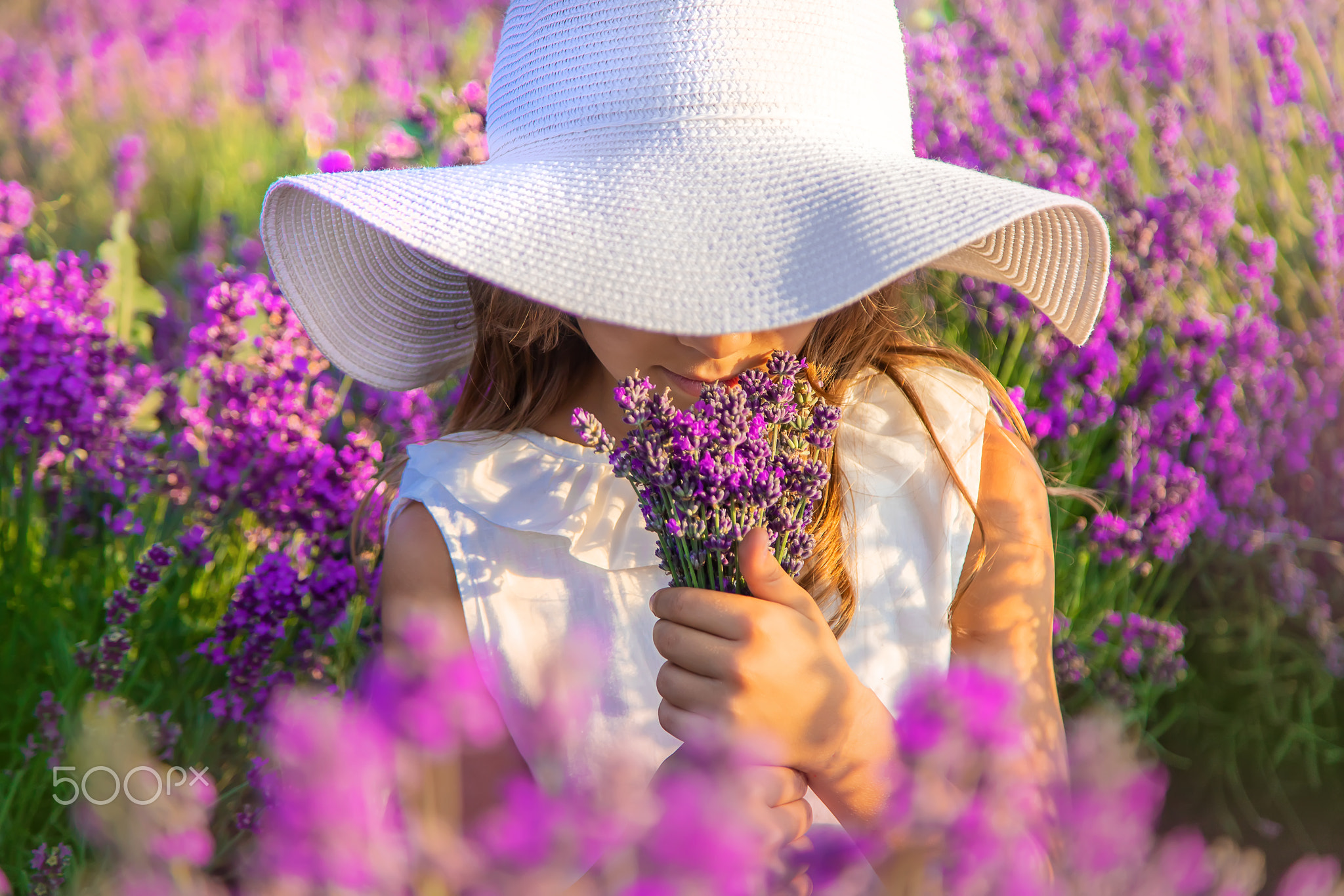 A child in a lavender field. Selective focus.