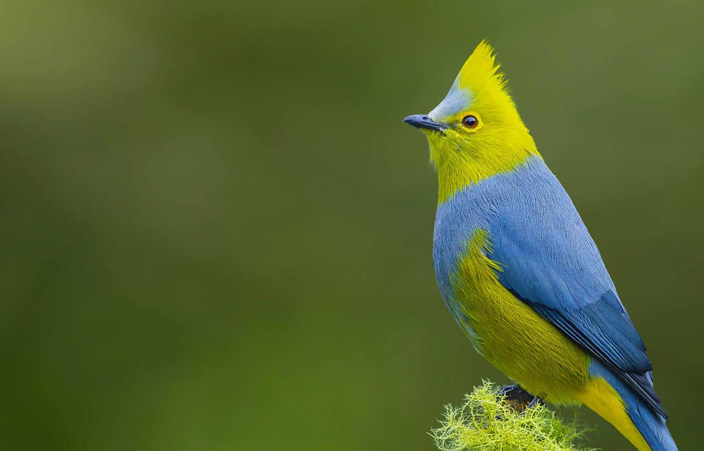 Silky. by Afzal Karim on 500px.com