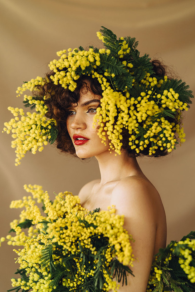 Mimosa Magic by Jovana Rikalo on 500px.com