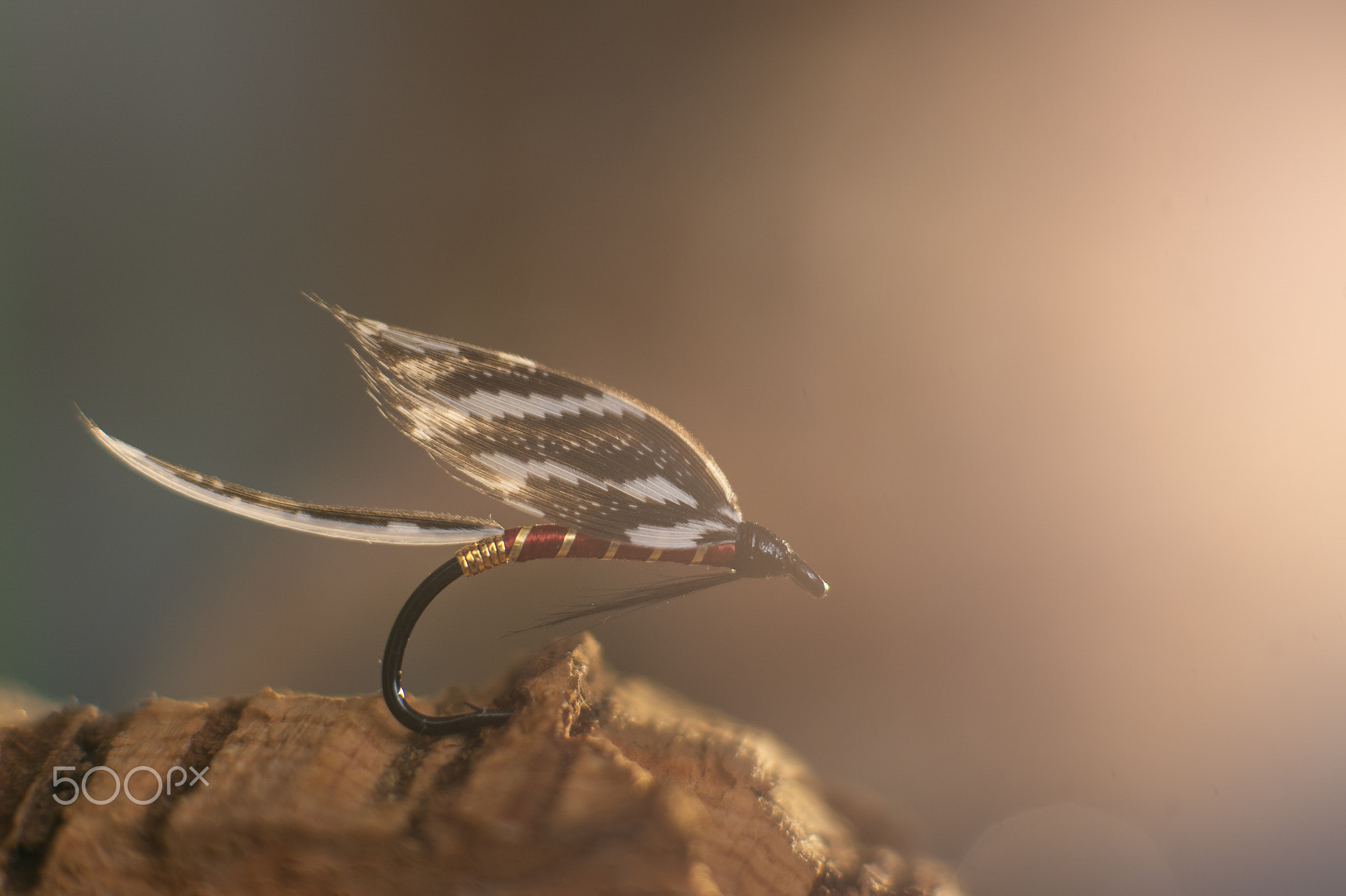 Classic Atlantic salmon fly fishing wet fly.