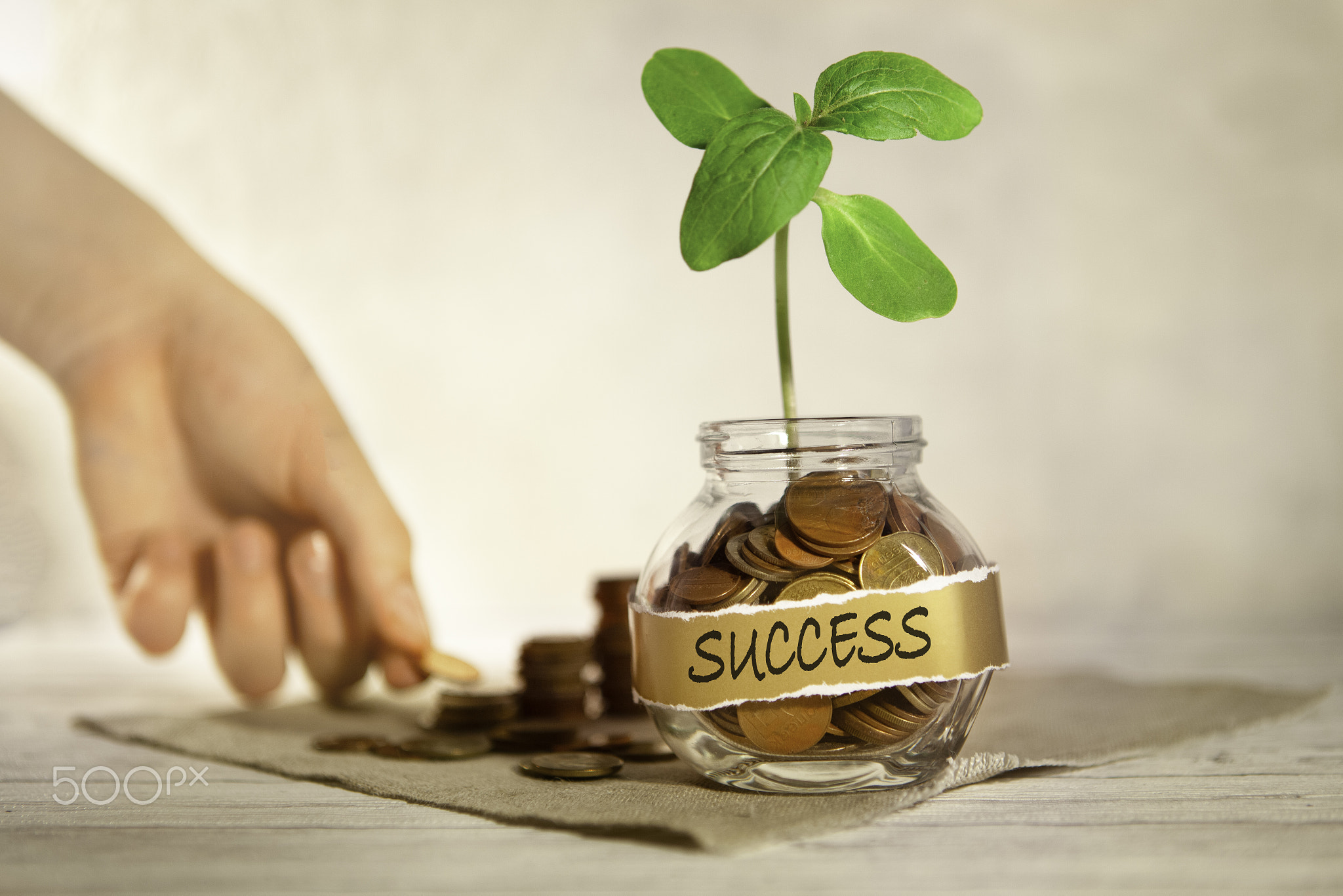 Success. Glass jar with coins and a plant.