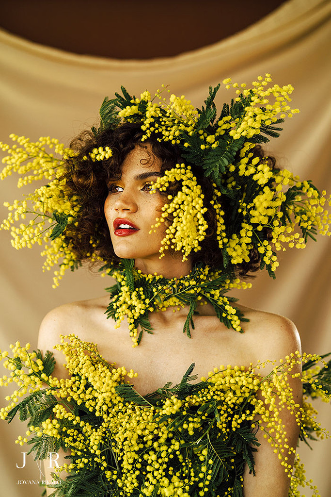 Mimosaland de Jovana Rikalo sur 500px.com