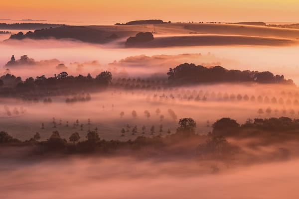 Misty morning 