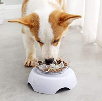 Pet Bowls Online New York | Nikipet.com