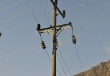 سوء الأحوال الجوية يقطع الكهرباء عن بعض مراكز عقلة الصقور