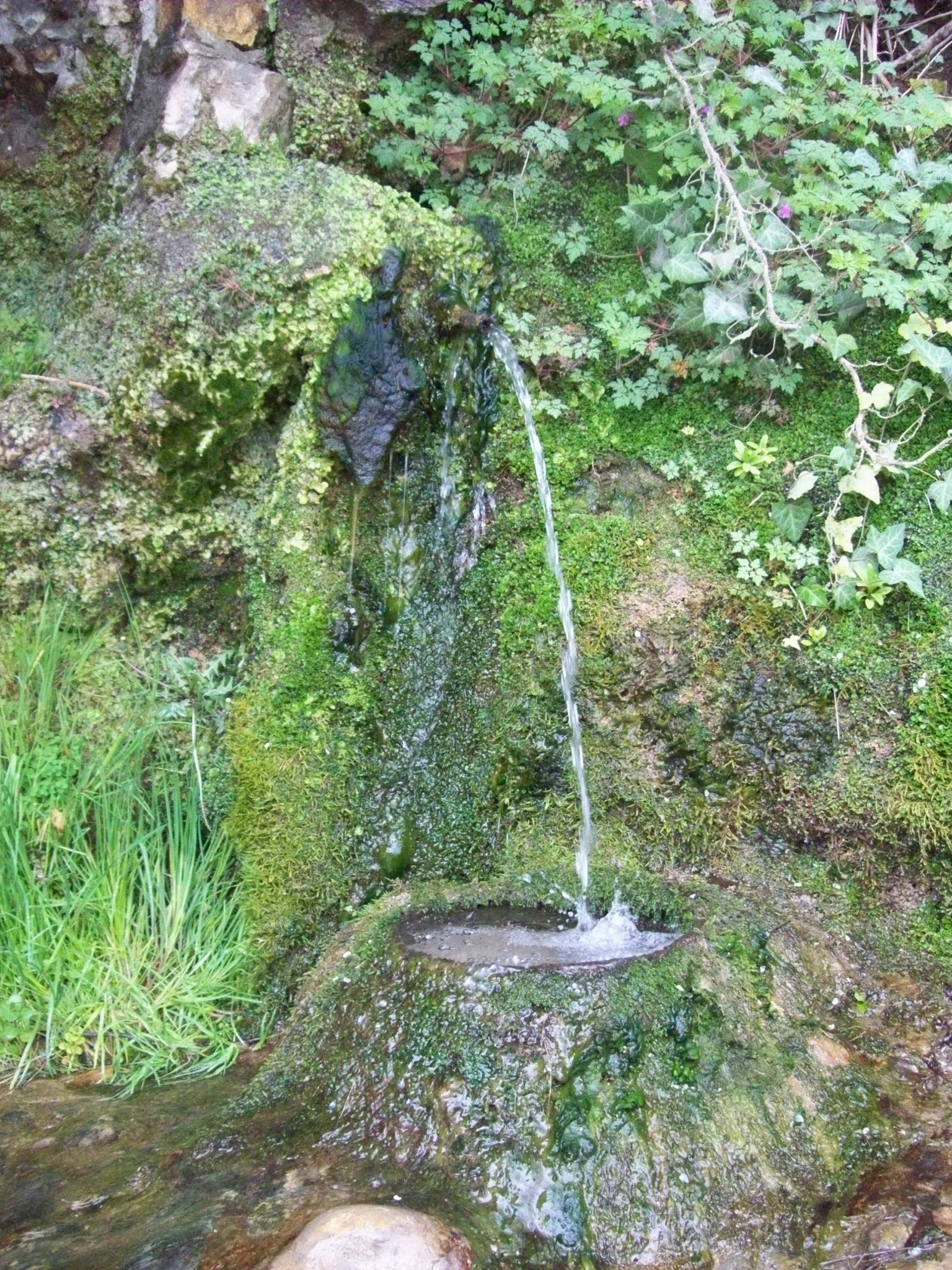 Source
