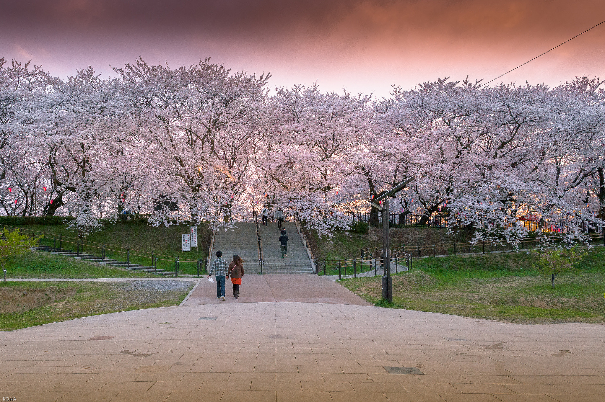 Nikon D3 + Nikon AF-S Nikkor 24mm F1.4G ED sample photo.  twilight photography