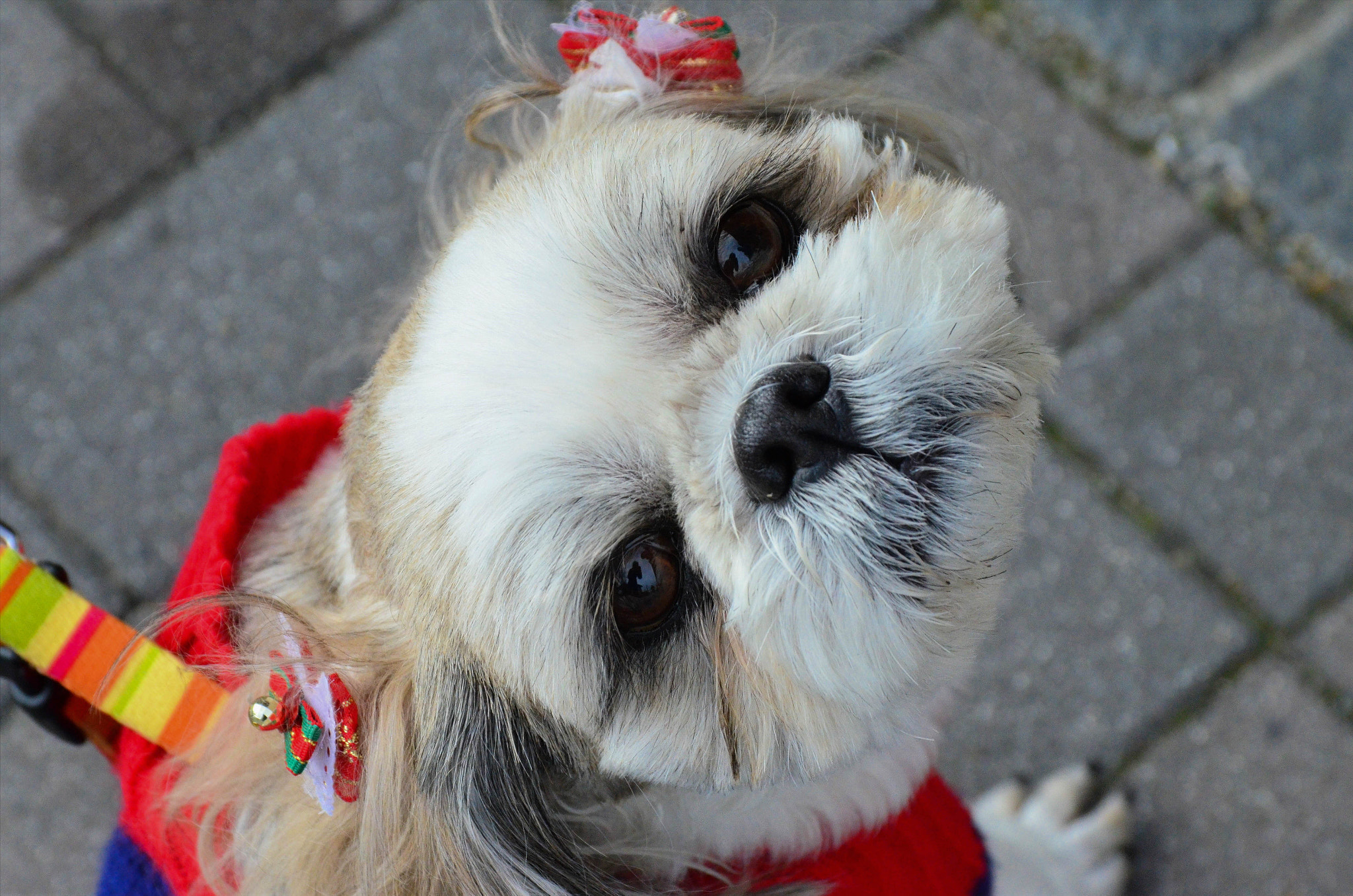 v2?sig=dc46d8f0f2b3528a834e9e59b084e27dce2307b095671ed81a7eed7d89184c64