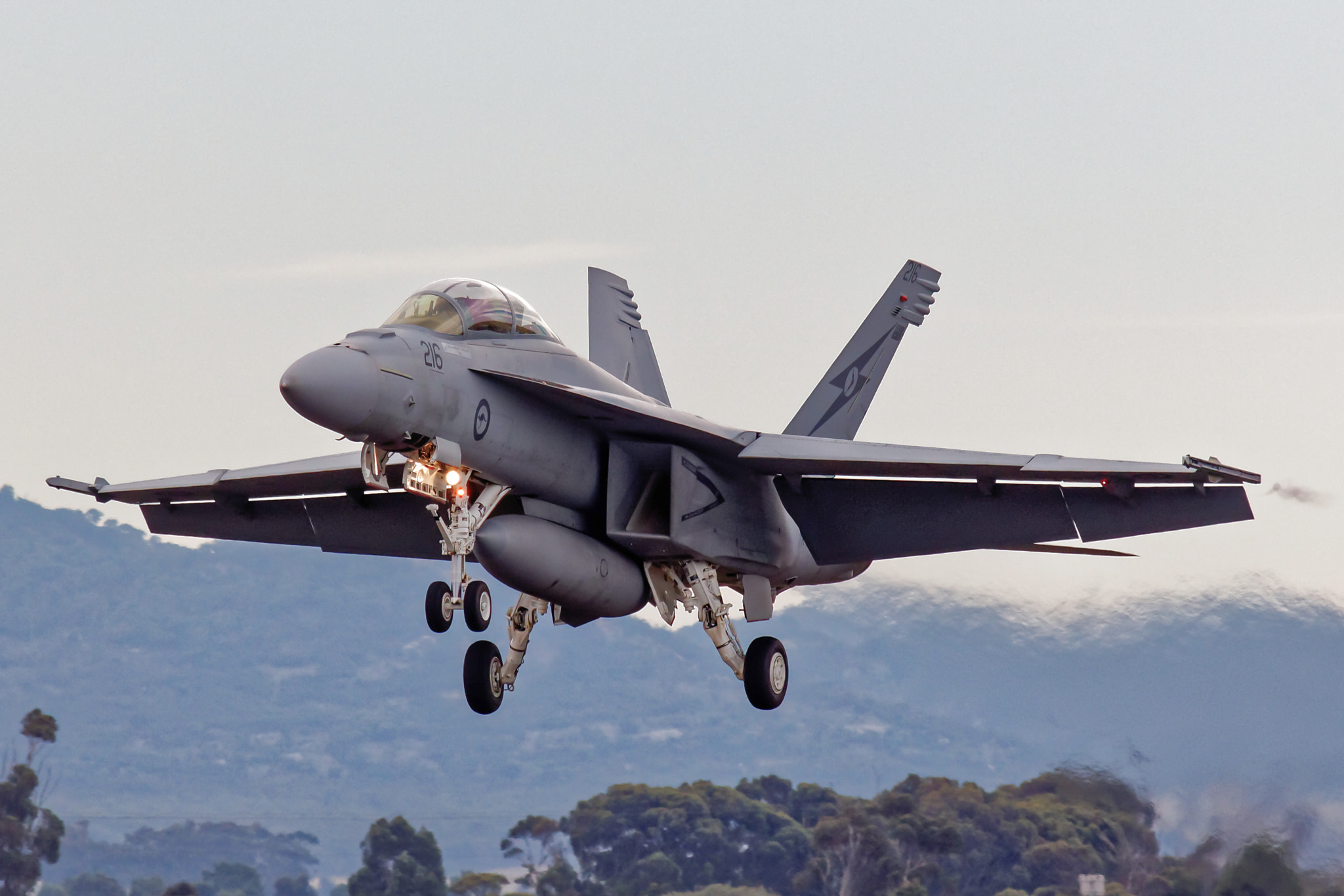 Super Hornet