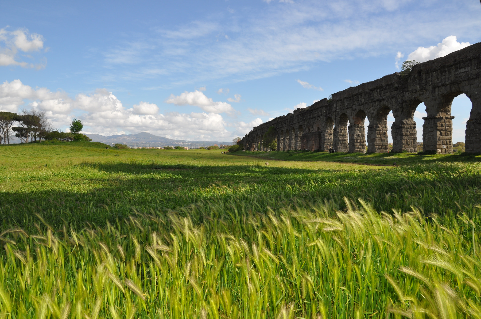 Aqua Claudia