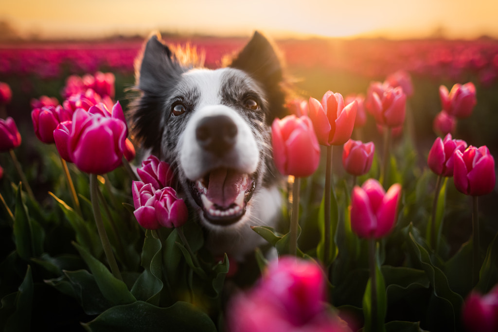 Smile! by Iza ?yso? on 500px.com