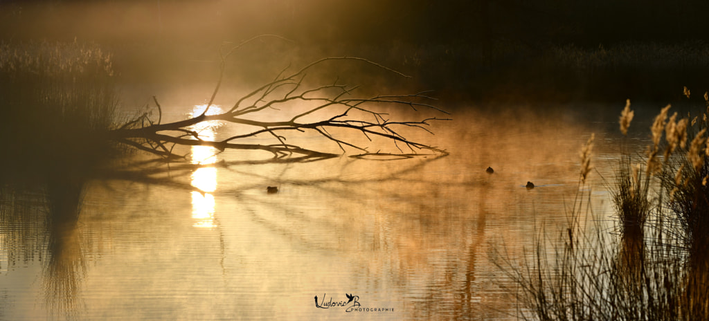 Lever du Jour by LudovicB on 500px.com