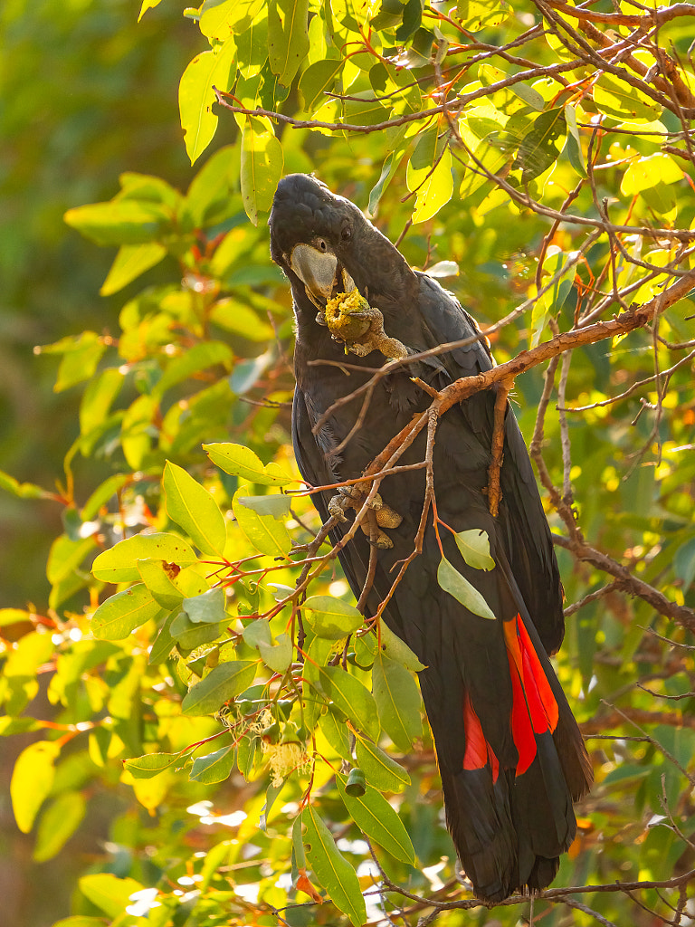 Karak by Paul Amyes on 500px.com