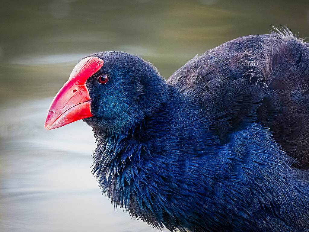 Kwilom by Paul Amyes on 500px.com