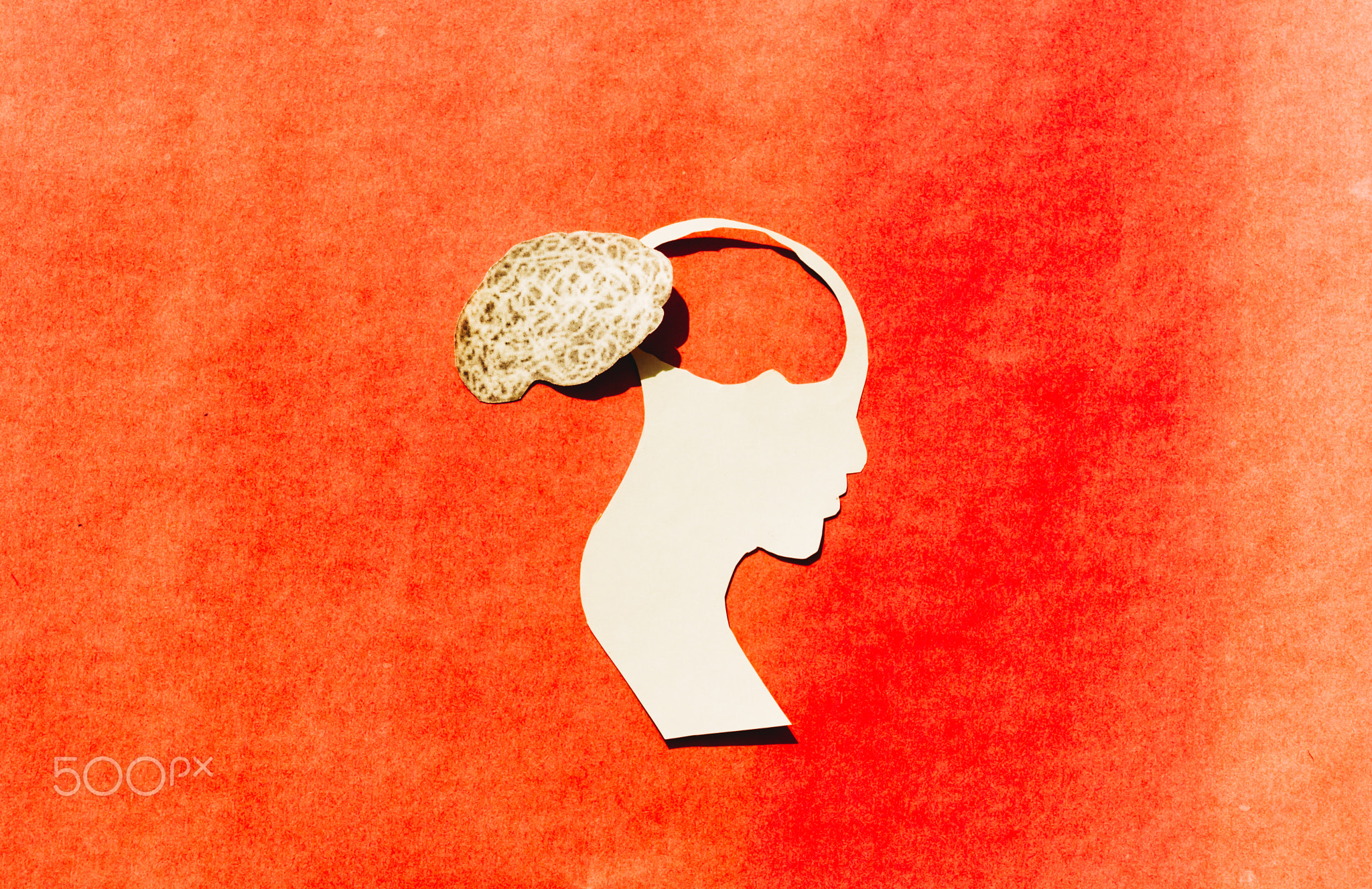 Brain Isolated in Human Head. Feelings of isolation and Mental Health