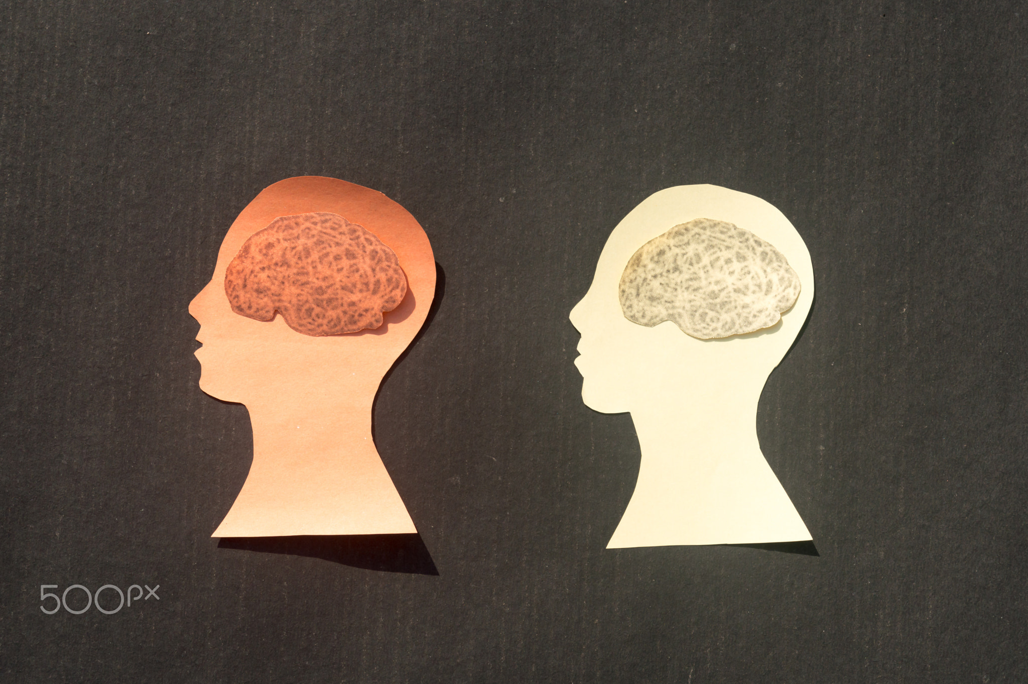 Two People Human Brain Isolated Within Human Head. Paper Illustration.