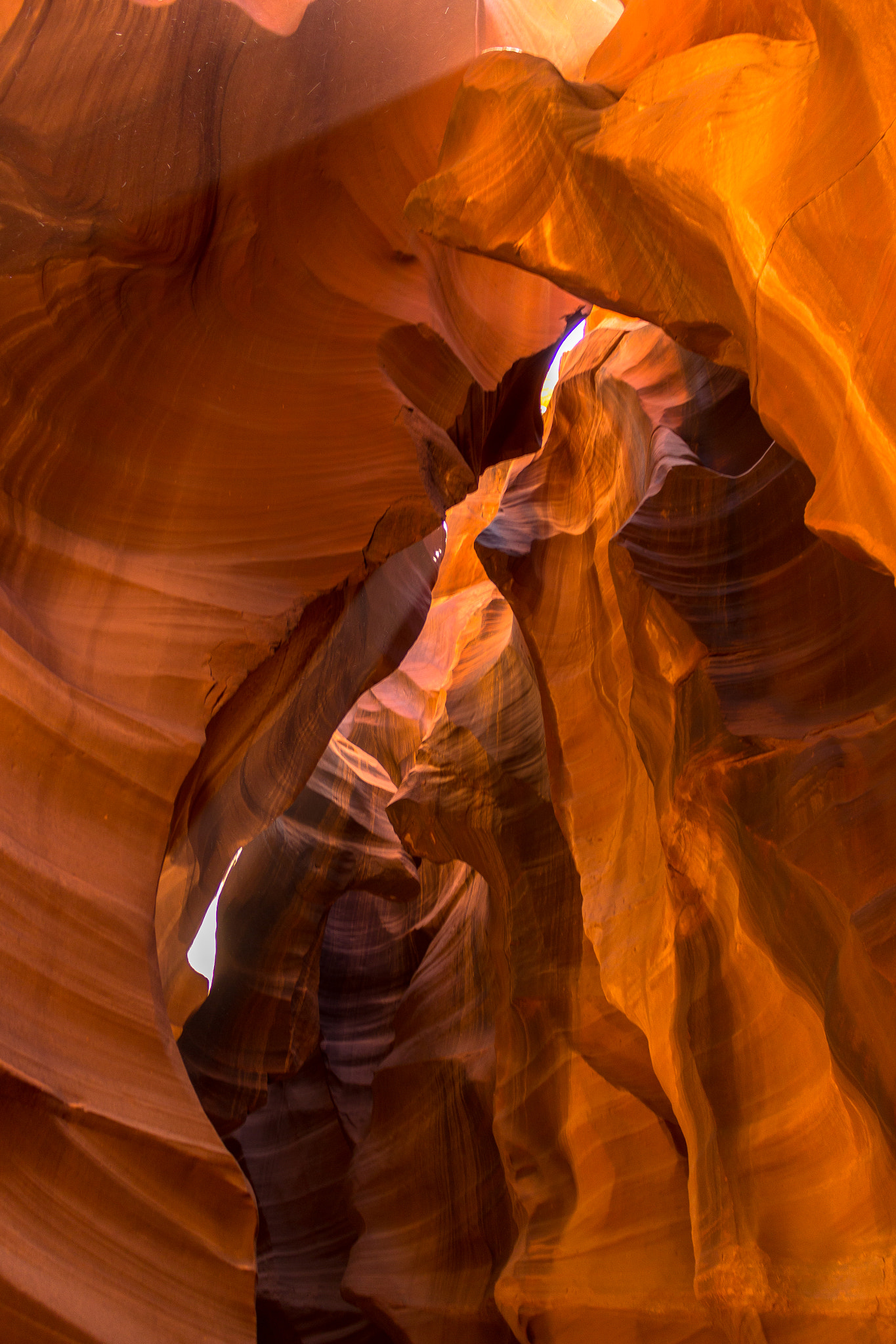 v2?sig=c8e28b32e3bdd1382eb3c7add7fff45bbbf9ddd8d59bd1b643874f0798411cae