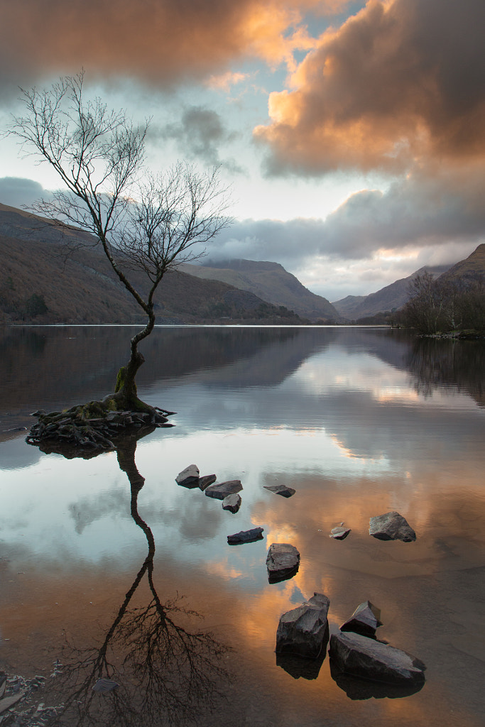 Llyn Padarn, Wales, Sunrise by Stephen Stringer CPAGB / 500px