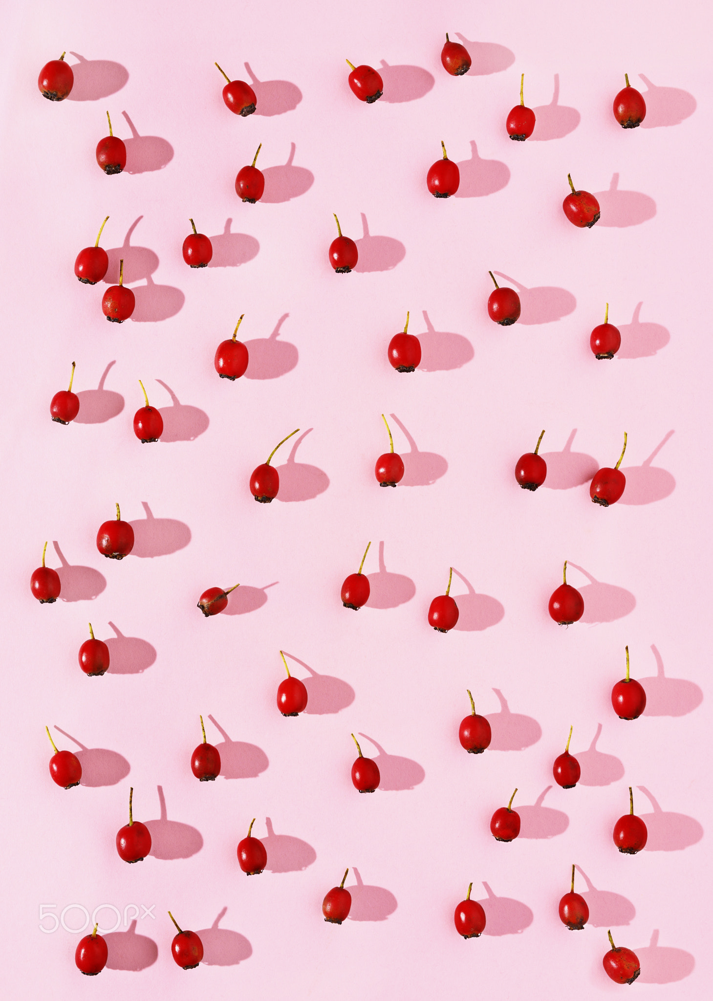 Red berries on pink background