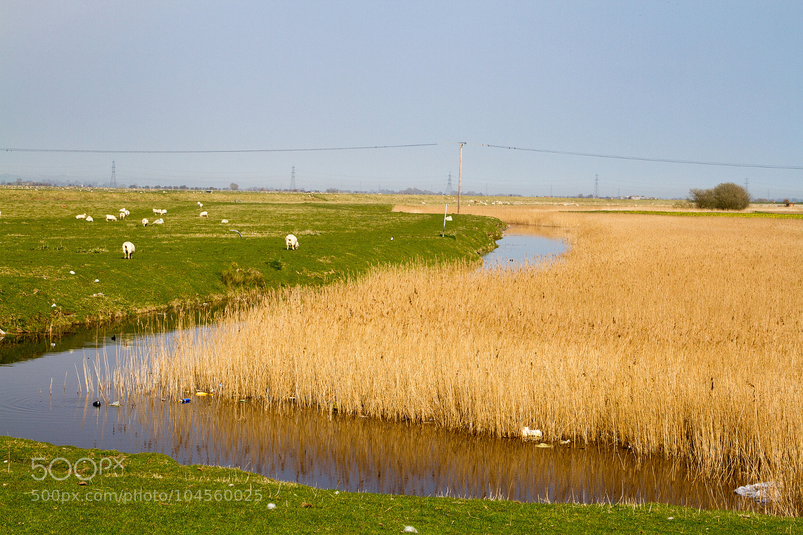 Canon EOS 7D sample photo. Untitled photography